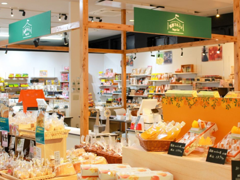 はなのき堂の店舗立上コンサル